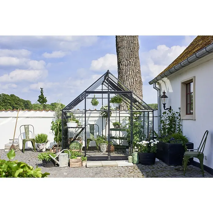 Halls Gewächshaus Qube 88 - Außenmaß inkl. Dachüberstand (B x T): 261 x 261 cm, 3 mm, Schwarz - Ein elegantes Gewächshaus mit Glaswänden und einem schwarzen Rahmen, umgeben von Pflanzen und Gartenmöbeln in einem idyllischen Garten.