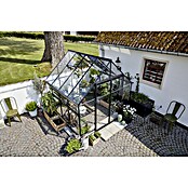 Halls Gewächshaus (Glasstärke: 3 mm, Einscheibensicherheitsglas (ESG), Schwarz)