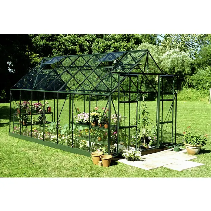 Halls Gewächshaus Magnum 148 - Außenmaß inkl. Dachüberstand (B x T): 257 x 446 cm, Grün, Wandstärke: 3 mm - Ein grünes Gewächshaus voller Pflanzen und Blumen auf einem grünen Rasen, das zum Anbau von Pflanzen dient.