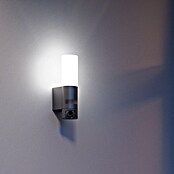 Steinel LED senzorska zunanja stenska svetilka L 625 CAM  (14 W, Do x Š x V: 13,1 x 7,8 x 30,5 cm, Antracit/Bela, Toplo bela) | 3079 - Wandleuchte outdoor mit Bewegungsmelder | CAJA - Outdoorleuchten Hochvolt | CAJ - Outdoorleuchten | CA - Beleuchtung | C - Elektro | BAUHAUS