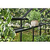Juliana Gewächshausregal (Schwarz, Passend für: Juliana Gewächshaus Gärtner 18,8 m²)
