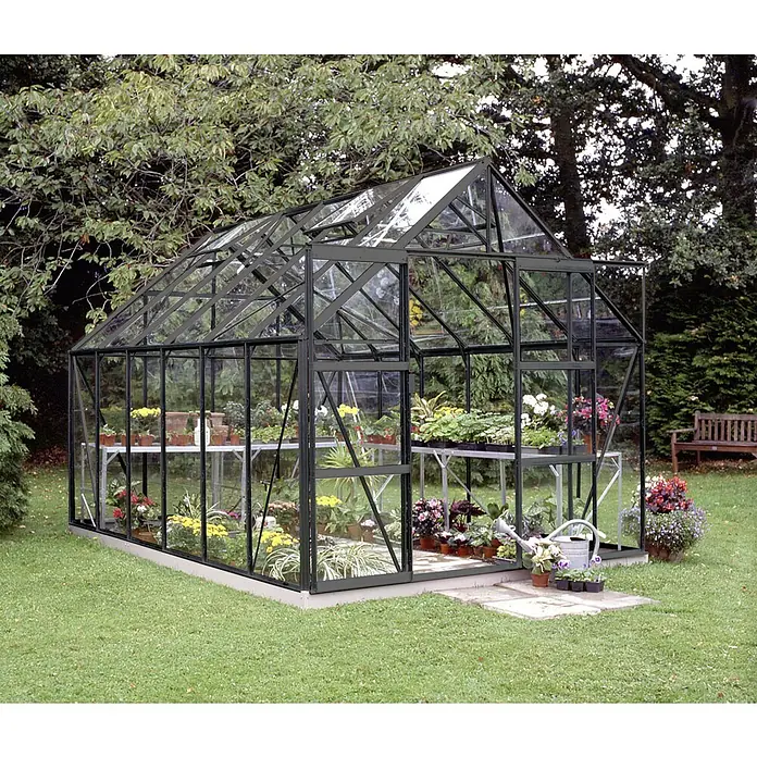 Halls Gewächshaus Magnum 128 - Außenmaß inkl. Dachüberstand (B x T): 257 x 384 cm, Schwarz, Wandstärke: 3 mm - Ein Gewächshaus mit Pflanzen. Ideal zum Anbau von Gemüse und Blumen im eigenen Garten.