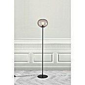 Nordlux Alton Vloerlamp (Hoogte: 150 cm, Zwart, E27) | BAUHAUS