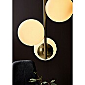 Nordlux Lilly Hanglamp (Pendellengte: 200 cm, E14, Messing) | BAUHAUS