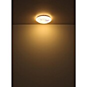 Globo Okrugla stropna LED svjetiljka  (24 W, Ø x V: 350 x 100 mm, Bijela, Prozirno bijela, Topla bijela) | BAUHAUS