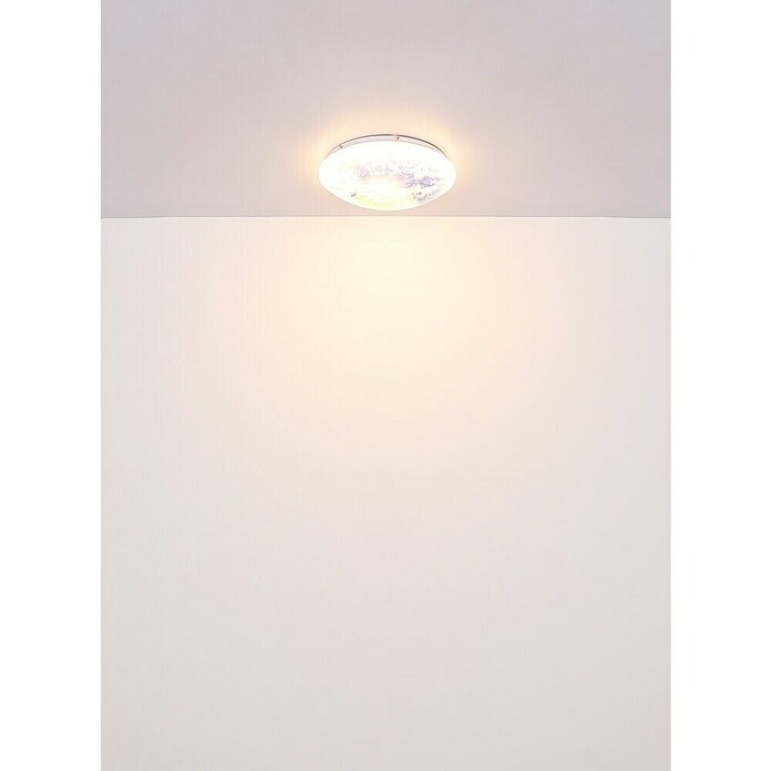 Globo Okrugla stropna LED svjetiljka  (24 W, Ø x V: 350 x 100 mm, Bijela, Prozirno bijela, Topla bijela) | BAUHAUS