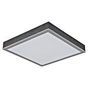 Globo LED stropna svjetiljka Doro  (12 W, Srebrna, Bijela, Topla bijela, Kvadratna) | BAUHAUS