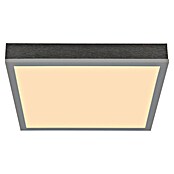 Globo LED stropna svjetiljka Doro  (12 W, Srebrna, Bijela, Topla bijela, Kvadratna) | BAUHAUS