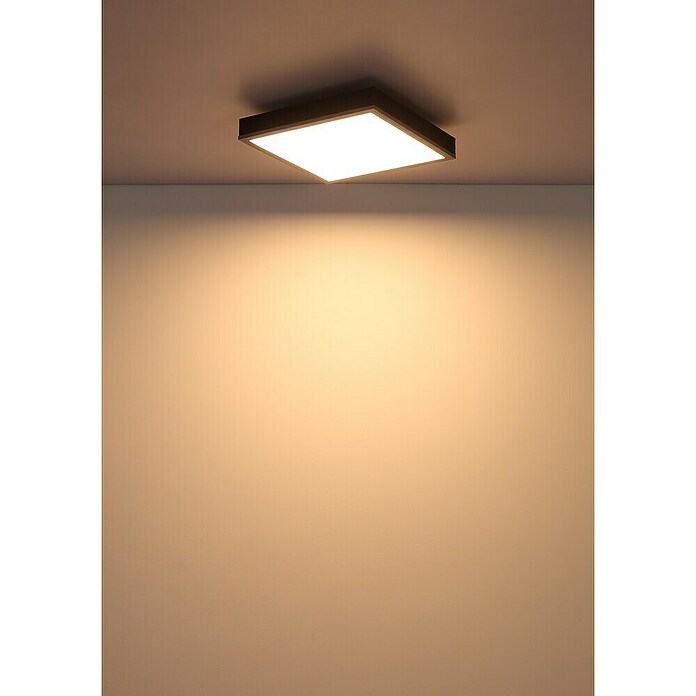 Globo LED stropna svjetiljka Doro  (12 W, Srebrna, Bijela, Topla bijela, Kvadratna) | BAUHAUS
