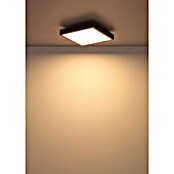 Globo LED stropna svjetiljka Doro  (12 W, Srebrna, Bijela, Topla bijela, Kvadratna) | BAUHAUS