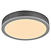 Globo LED stropna svjetiljka Doro  (Ø x V: 300 cm x 60 mm, 12 W, Srebrna, Bijela, Topla bijela, Okrugla) | BAUHAUS