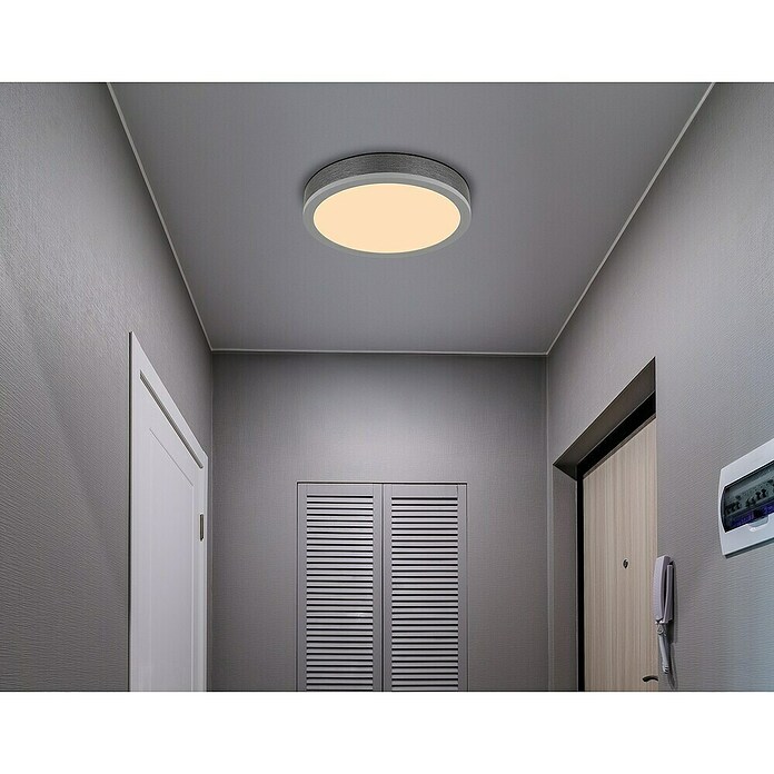 Globo LED stropna svjetiljka Doro  (Ø x V: 300 cm x 60 mm, 12 W, Srebrna, Bijela, Topla bijela, Okrugla) | BAUHAUS