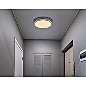 Globo LED stropna svjetiljka Doro  (Ø x V: 300 cm x 60 mm, 12 W, Srebrna, Bijela, Topla bijela, Okrugla) | BAUHAUS