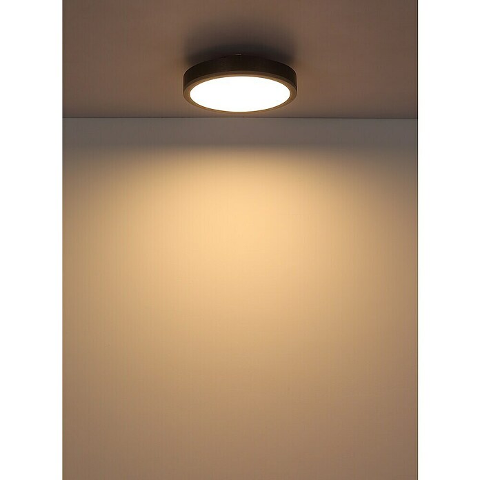 Globo LED stropna svjetiljka Doro  (Ø x V: 300 cm x 60 mm, 12 W, Srebrna, Bijela, Topla bijela, Okrugla) | BAUHAUS