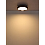 Globo LED stropna svjetiljka Doro  (Ø x V: 300 cm x 60 mm, 12 W, Srebrna, Bijela, Topla bijela, Okrugla) | BAUHAUS