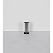 Globo LED namizna svetilka Bendy  (Ø x V: 80 x 240 mm, Barva ohišja: Črna, 1,8 W) | 3017 - Tischleuchte | CACJ - Tischleuchte | CAC - Indoorleuchten | CA - Beleuchtung | C - Elektro | BAUHAUS