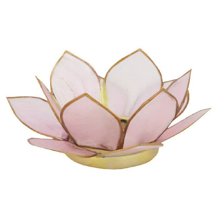 Portavelas Nenufar (Ø x Al: 10 x 4 cm, Rosa, Vidrio) | BAUHAUS