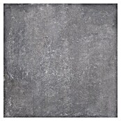 Porculanska pločica Savanna  (79,7 x 79,7 cm, Antracit, Mat) | BAUHAUS