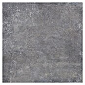 Porculanska pločica Savanna  (79,7 x 79,7 cm, Antracit, Mat) | BAUHAUS