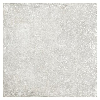 Granitogresne ploščice Savanna (79,7 x 79,7 cm, Sive barve, Mat)