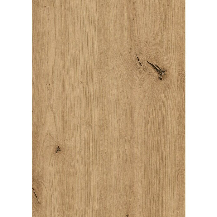 CUCINE Kuhinjska zidna obloga  (Hrast Artisan, 410 x 64 cm, Debljina: 9,2 mm) | BAUHAUS