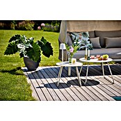 Sunfun Solo Rope Lounge kavč  (Š x G x V: 187 x 114 x 81,5 cm, Aluminij, Olefin, Siva) | 8303 - Loungeset | ICAE - Sommermöbel Loungemöbel | ICA - Sommermöbel | IC - Freizeit im Garten | I - Stadtgarten | BAUHAUS