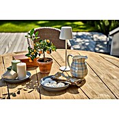 Sunfun Garten-Tischplatte (Durchmesser: 150 cm, Teak, Natur) | BAUHAUS
