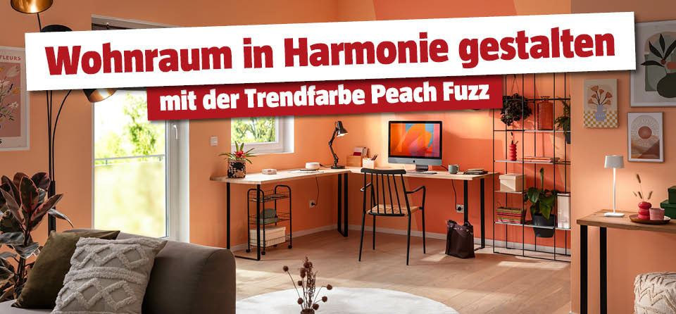 Blick auf das Home Office im Wohnraum, die Wände mit der Trendfarbe Peach Fuzz gestaltet, Titel Wohnraum in Harmonie gestalten