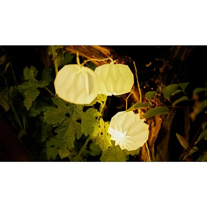 Starlux LED-Lichterkette Kleine Sonnen - Außen, Lichtfarbe: Warmweiß, Anzahl Leuchtmittel: 10 Stk., Akkubetrieben - Leuchtende Kürbis-Lichterkette zwischen Pflanzen. Die warmweißen Lichter schaffen eine gemütliche Halloween-Atmosphäre im Garten.