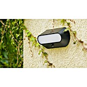 Lavida Solar-Außenwandleuchte (5 W, L x B x H: 25 x 12 x 6,5 cm, Schwarz, IP54, 500 lm) | BAUHAUS
