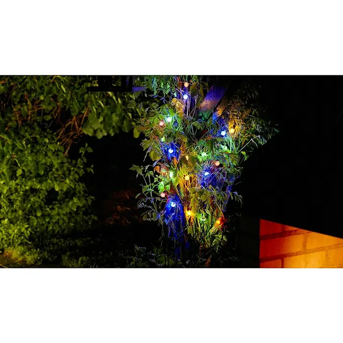 BAUHAUS LED-Solar-Lichterkette Bubble - Innen, 6,9 m, Mehrfarbig - Lichterketten schmücken eine Pflanze, die eine warme, festliche Atmosphäre schafft, perfekt für Gartenpartys oder stimmungsvolle Abende im Freien.