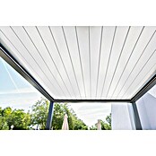 Wismar-NFI Pergola Bio (L x B: 480 x 359,3 cm, Weiß, Grau)