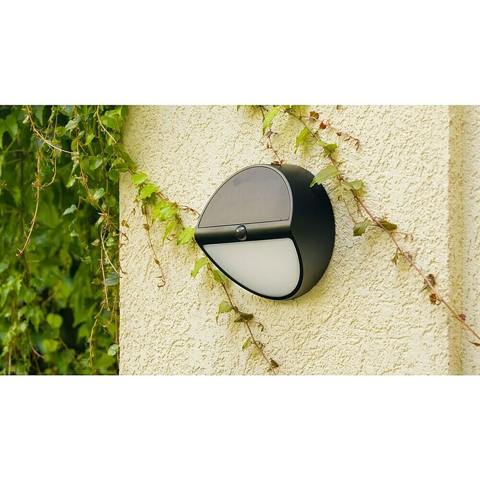 Lavida Solar-Außenwandleuchte (5 W, L x B x H: 9,7 x 20 x 20 cm, Schwarz, IP54, 500 lm) | BAUHAUS