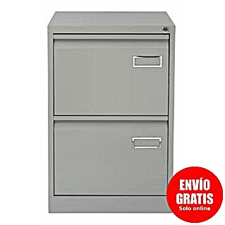 Bisley Archivador PSF (L x An x Al: 62 x 47 x 71 cm, Número de cajones: 2 ud., Acero, Gris, Completamente montado)