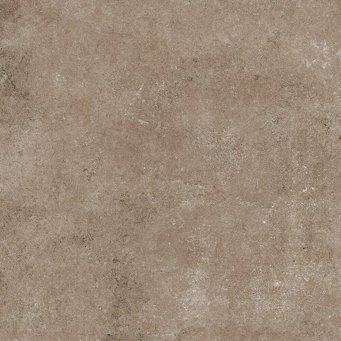 My Home Feinsteinzeugfliese (60 x 60 cm, Taupe, Matt) | BAUHAUS