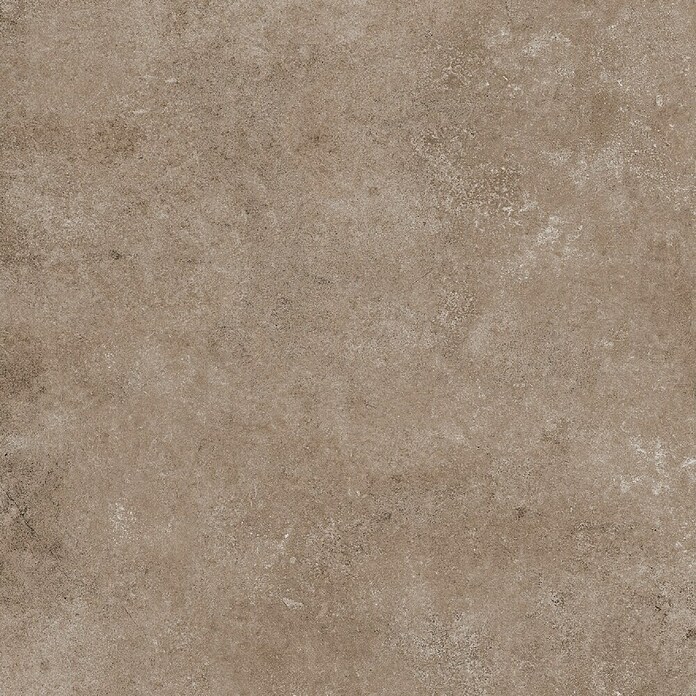 My Home Feinsteinzeugfliese (60 x 120 cm, Taupe, Matt) | BAUHAUS