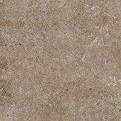 My Home Feinsteinzeugfliese (60 x 120 cm, Taupe, Matt) | BAUHAUS