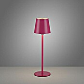 Just Light Punjiva stolna svjetiljka Boteria  (3 W, D x Š x V: 110 x 110 x 370 mm, Topla bijela, Ružičasta) | BAUHAUS