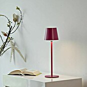 Just Light Punjiva stolna svjetiljka Boteria  (3 W, D x Š x V: 110 x 110 x 370 mm, Topla bijela, Ružičasta) | BAUHAUS