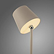 Just Light Punjiva stolna svjetiljka Boteria  (3 W, D x Š x V: 110 x 110 x 370 mm, Topla bijela, Bež) | BAUHAUS