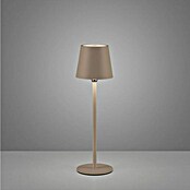 Just Light Punjiva stolna svjetiljka Boteria  (3 W, D x Š x V: 110 x 110 x 370 mm, Topla bijela, Bež) | BAUHAUS