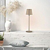 Just Light Punjiva stolna svjetiljka Boteria  (3 W, D x Š x V: 110 x 110 x 370 mm, Topla bijela, Bež) | BAUHAUS