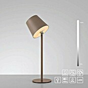 Just Light Punjiva stolna svjetiljka Boteria  (3 W, D x Š x V: 110 x 110 x 370 mm, Topla bijela, Bež) | BAUHAUS