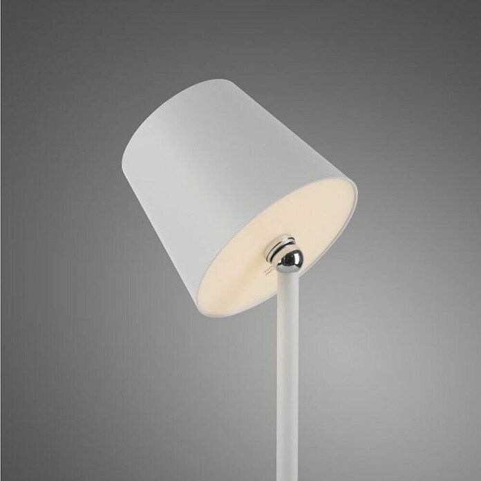 Just Light Punjiva stolna svjetiljka Boteria  (3 W, D x Š x V: 110 x 110 x 370 mm, Topla bijela, Bijela) | BAUHAUS