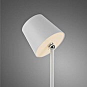 Just Light Punjiva stolna svjetiljka Boteria  (3 W, D x Š x V: 110 x 110 x 370 mm, Topla bijela, Bijela) | BAUHAUS