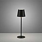 Just Light Punjiva stolna svjetiljka Boteria  (3 W, D x Š x V: 110 x 110 x 370 mm, Topla bijela, Crna) | BAUHAUS