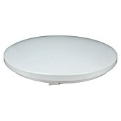 E2 elektro LED-Wand- & Deckenleuchte rund white² (24 W, Ø x H: 33 x 6,2 cm, Weiß, Weiß, Warmweiß) | BAUHAUS