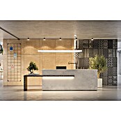 E2 elektro LED-Deckenleuchte LED L (45 W, L x B x H: 150 x 20 x 4,5 cm, Kaltweiß) | BAUHAUS