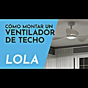 Arte confort Ventilador de techo Lola (Blanco, 83,3 cm, 35 W, Blanco neutro) | BAUHAUS
