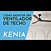 Arte confort Ventilador de techo Kenia (Roble negro, 132 cm, 34 W, Blanco cálido) | BAUHAUS